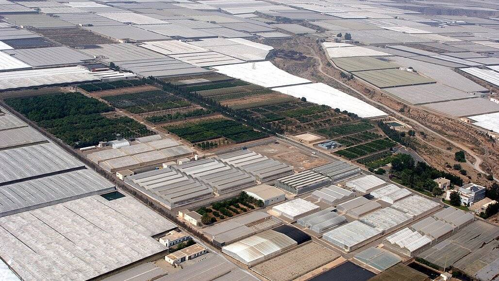 Cajamar Innova Cajamar c|Cajamar Agualytics_Pantallas_Network|Cajamar Brioagro Foto_texto_500 palabras|cajamar Dispositivo IKOS|cajamar cobet (1)c|DSC05934